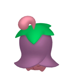 Image de Ceriflor
