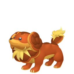 Image if Dachsbun