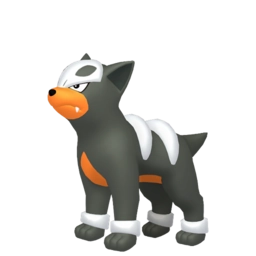 Image if Houndour