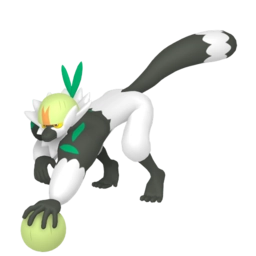 Image if Passimian