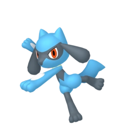 Image de Riolu