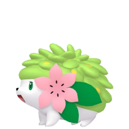 Image de Shaymin