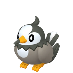 Image de Étourmi ♂️