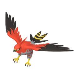 Image if Talonflame