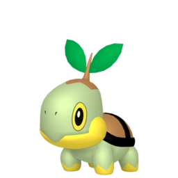 Image de Tortipouss