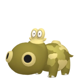 Image chromatique de Hippopotas ♀