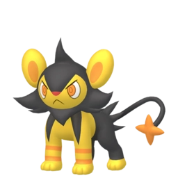 Image chromatique de Luxio ♂️