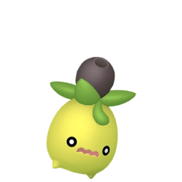 Shiny image of Smoliv