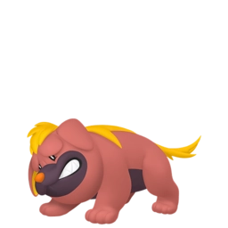 Image de Grondogue 