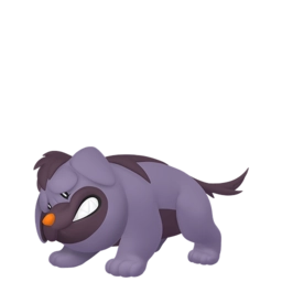 Image chromatique de Grondogue 