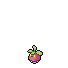 Icon of Bounsweet