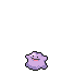 Icon of Ditto