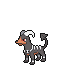 Icon of Houndoom ♂️