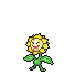 Icon of Sunflora