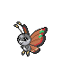 Icon of Vivillon Archipelago pattern