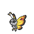 Icon of Vivillon Continental pattern