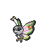 Icon of Vivillon Fancy pattern