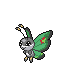 Icon of Vivillon Garden pattern