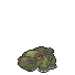 Icone chromatique de Hippodocus ♀