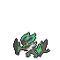 Shiny icon of Noivern