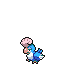 Shiny icon of Squawkabilly Blue Plumage