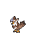 Icone chromatique de Étouraptor ♀
