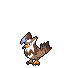 Icone chromatique de Étouraptor ♂️