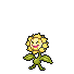 Shiny icon of Sunflora