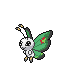 Shiny icon of Vivillon Garden pattern