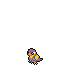 Shiny icon of Wattrel