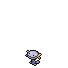 Shiny icon of Wooper-Paldea